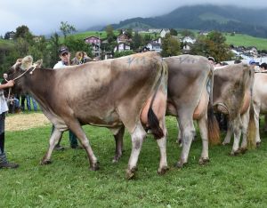 015Schneuter mittlere alle